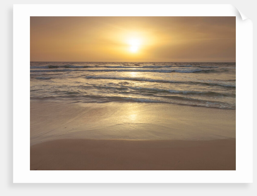 Sunset on the beach by Assaf Frank